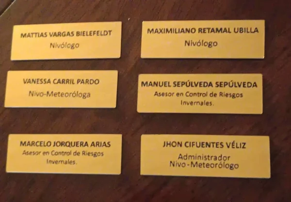 Piochas